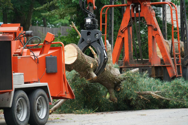 Best Weed Control  in Crimora, VA